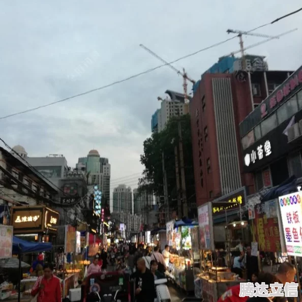 老树盘根姿势漫画近日该漫画在社交媒体上引发热议，网友纷纷分享自己的解读与感受
