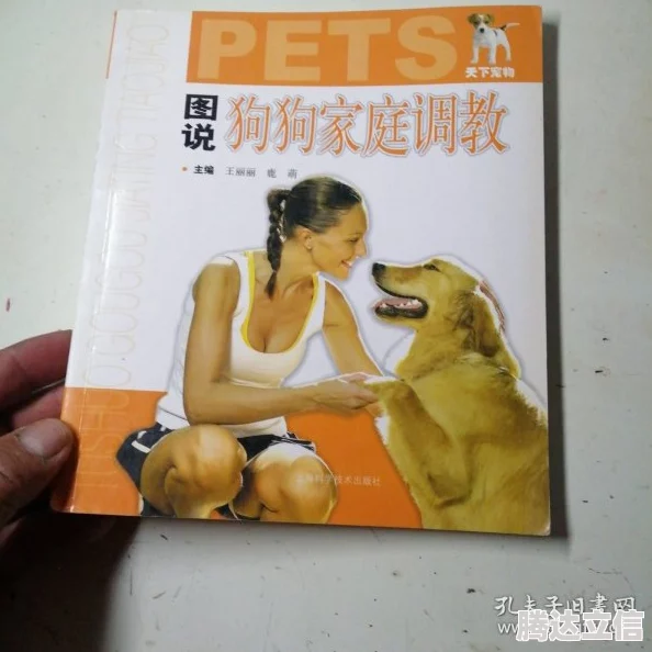 母狗调教小说让我们一起追求积极向上的生活态度与美好的人际关系
